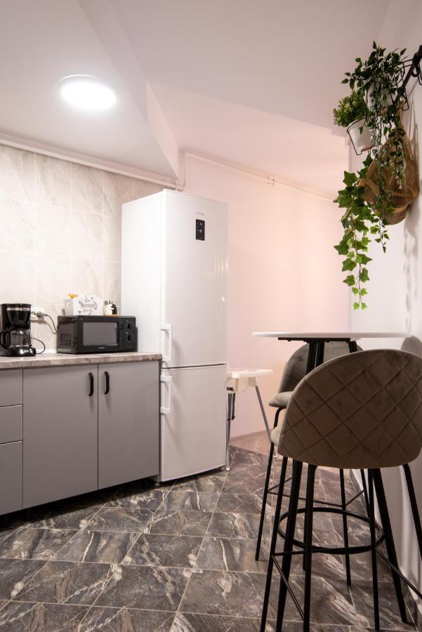 Snowdrop Apartment Sinaia Extérieur photo